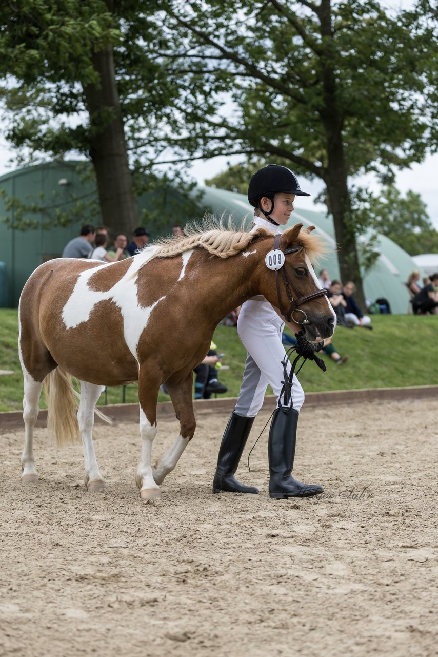 Bild 45 - Pony Akademie Turnier